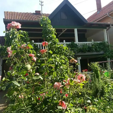 Traianov * كلادوفو