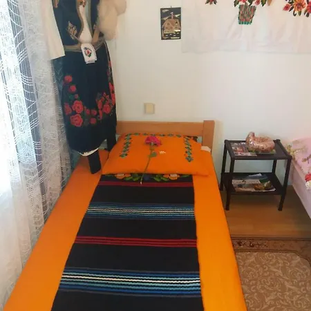 منزل ريفي Traianov