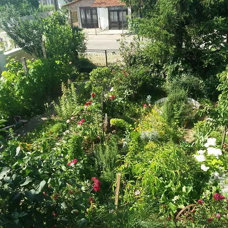 Traianov منزل ريفي كلادوفو