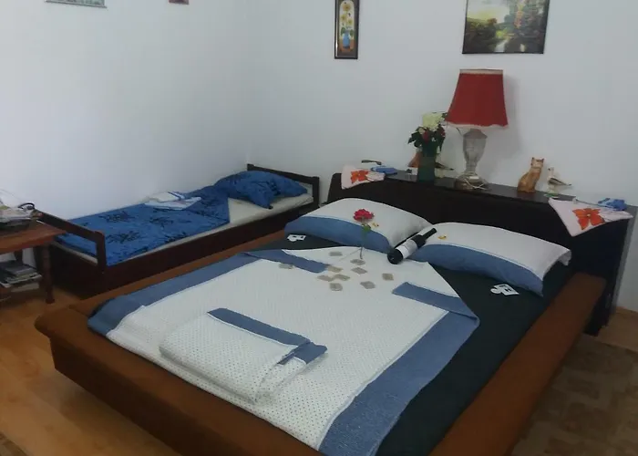 Traianov Летний дом