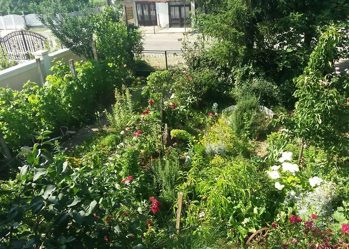 Traianov Летний дом Кладово